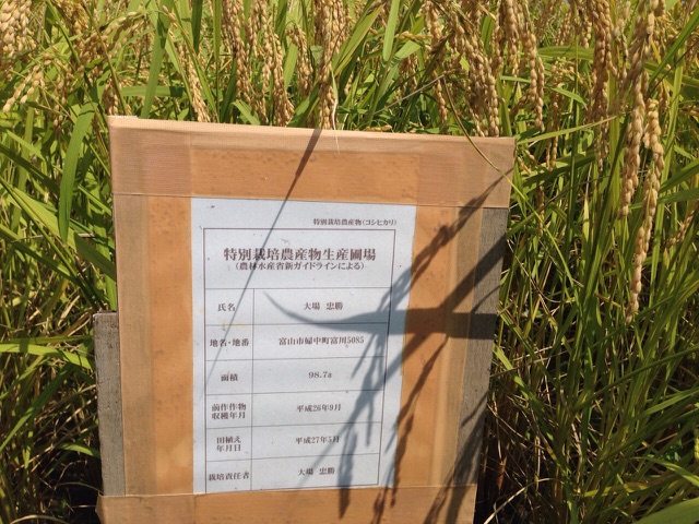 特別栽培米の圃場