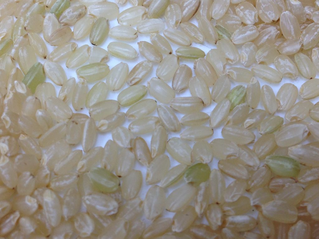 京の豆っ子米んお玄米はこんな感じです。