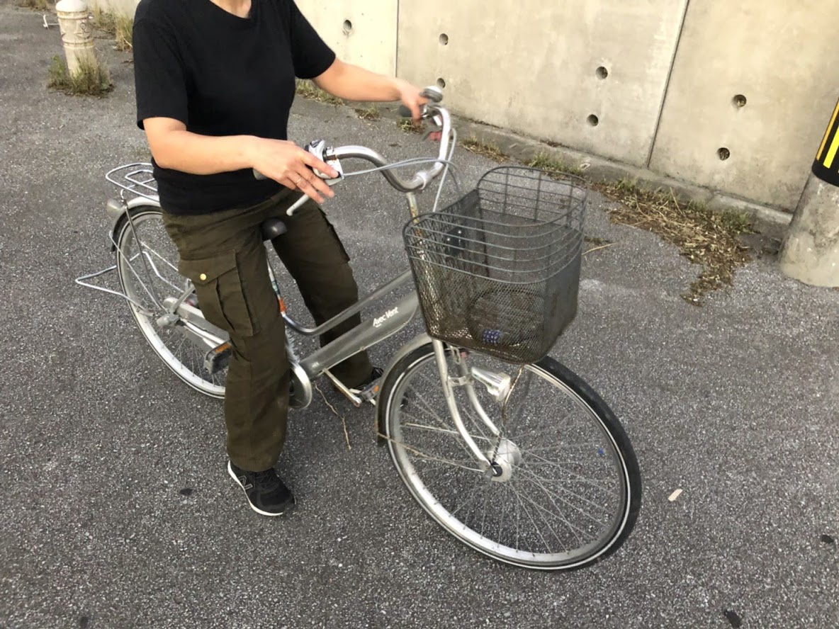 1 万 歩 自転車